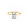 The Ellie Set With A 3 Carat Elongated Cushion Lab Diamond on Sale