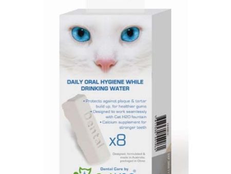 H2O Pk of 8 Dental Care block Online now