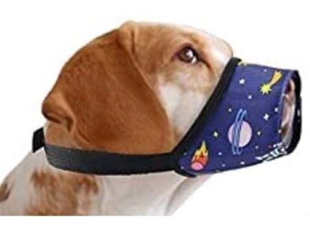 Cosmic Nylon Dog Muzzle Fashion