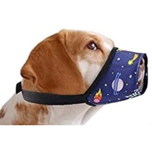 Cosmic Nylon Dog Muzzle Fashion