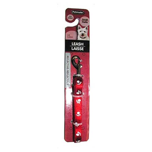 Aspen Pet Small Leash 150cm Red Sale