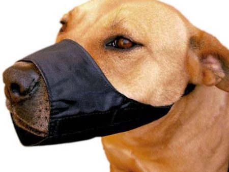 Zolux Black Nylon Dog Muzzle on Sale