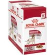 Royal Canin Medium Adult 10 x 140g Discount