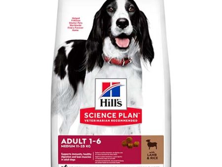 Hill s Science Plan Medium Adult Dog Food with Lamb & Rice 14kg Sale