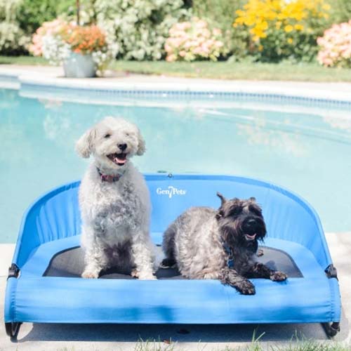 Gen7Pets Cool-Air Cot Pet Bed Large 94cm Discount