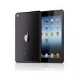 Apple iPad Mini 2 16GB Wifi Black Online